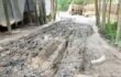 শ্রীপুরে কয়েক গ্রামের রাস্তার বেহাল দশা, দূর্ভোগ চরমে