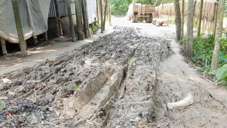 শ্রীপুরে কয়েক গ্রামের রাস্তার বেহাল দশা, দূর্ভোগ চরমে