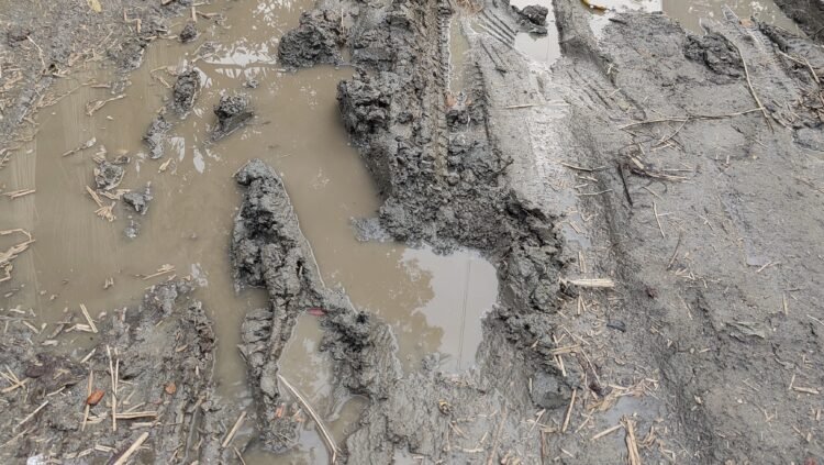 ফরিদপুরের সালথায় বর্ষা মানেই দুর্ভোগ, হাঁটুসমান কাঁদায় বিপর্যস্ত পুরুরা গ্রামের জনজীবন