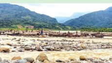 সাদা পাথর লুটপাটে নেটদুনিয়ায় প্রতিবাদ