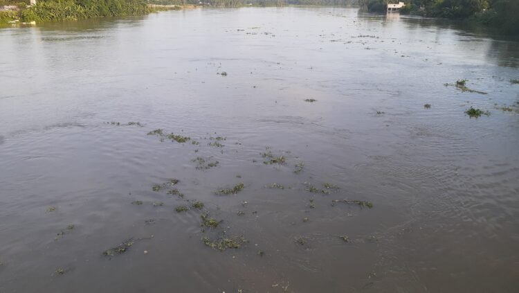 নওগাঁর নদ-নদীর পানি বাড়ছে হুহু করে তলিয়ে যাচ্ছে হাট-বাজার ফসলের মাঠ