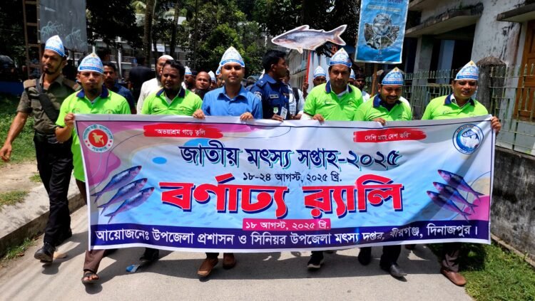 বীরগঞ্জে জাতীয় মৎস্য সপ্তাহ উপলক্ষে পোনা মাছ অবমুক্তকরন,  বর্ণাঢ্য র‍্যালি  ও আলোচনা সভা