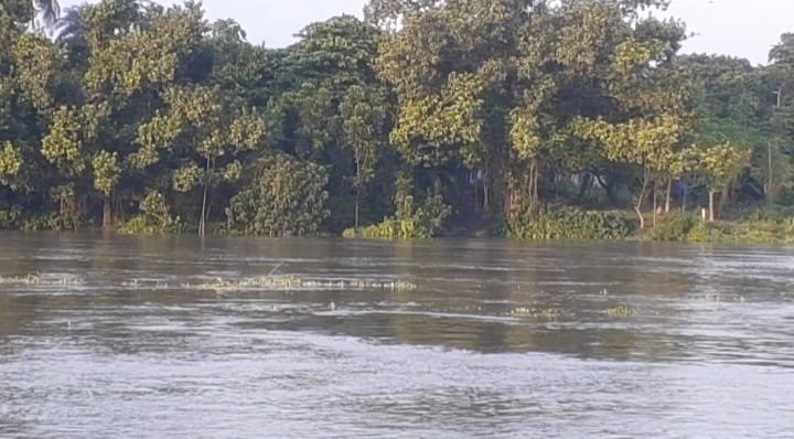 মহাদেবপুরে আত্রাই নদীর বন্যায় পার ধসে বিলিন হচ্ছে শতশত বিঘা আবাদী জমি হুমকির মুখে শিক্ষা প্রতিষ্ঠান