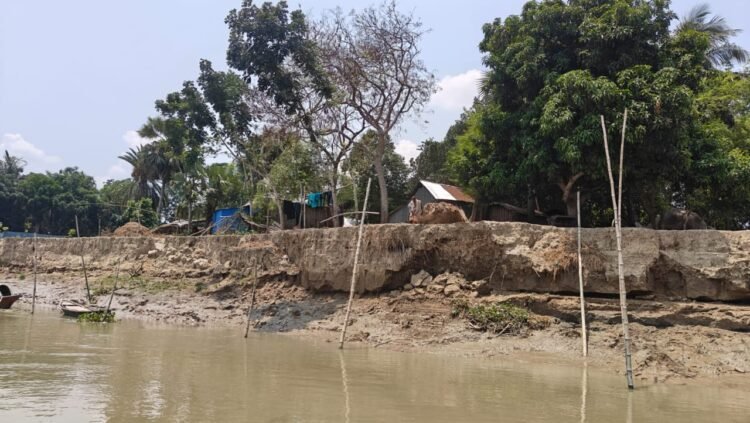 নড়াইলে নদী ভাঙ্গন  কাজে খুশি হলেও আরো বরাদ্দের দাবি এলাকাবাসীর