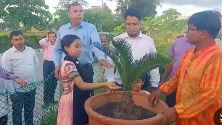 পটুয়াখালী পৌরশহর বাসযোগ্য পরিবেশ সৃষ্টির জন্য অধিকতর বৃক্ষরোপন কর্মসূচীর উদ্বোধন