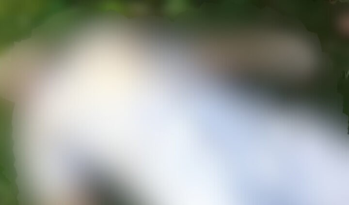 আততায়ীর হাতে স্বপন প্রধানী খুন,লাশ পাওয়া গেলো কচুরিপানর নিচে