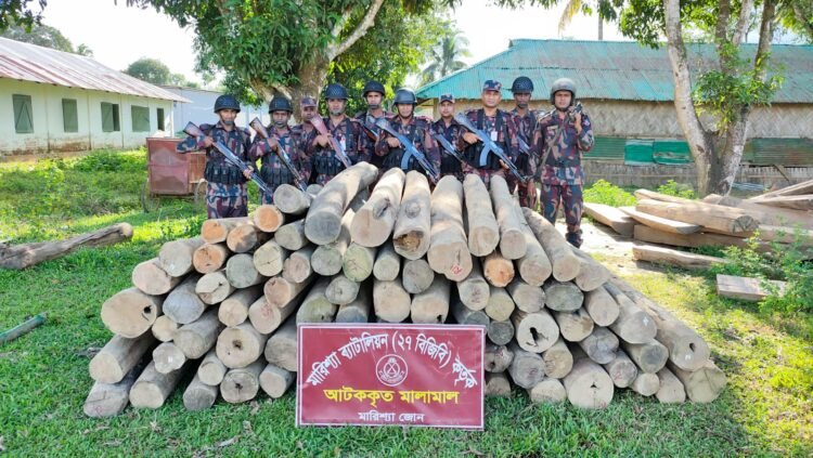 বাঘাইছড়িতে বিজিবির অভিযানে অবৈধ সেগুন কাঠ জব্দ