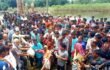 দৌলতপুরে বন্যায় ক্ষতিগ্রস্তদের মাঝে উপজেলা বিএনপির খাদ্য সামগ্রী বিতরণ