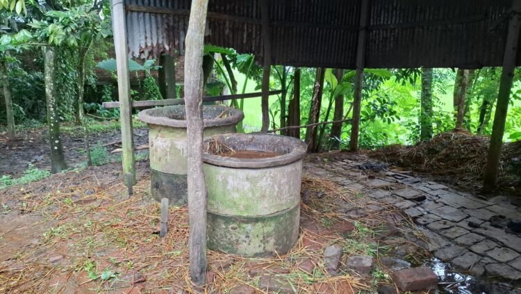 সখীপুরে কৃষকের গোয়ালঘর থেকে ৩ গরু চুরি