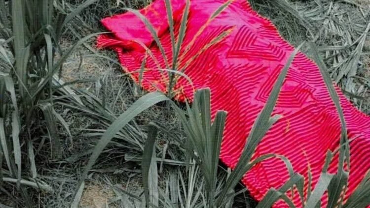 দৌলতপুরে মুখ বাঁধা অবস্থায় প্রতিবন্ধী নারীর লাশ উদ্ধার