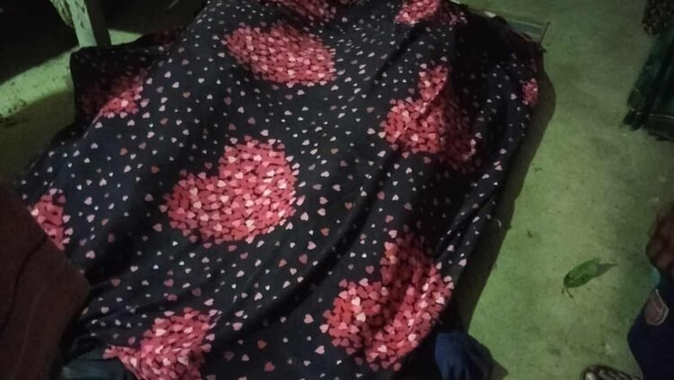 নাচোলে চার্জার ভ্যানে বিদ্যুৎস্পৃষ্ট হয়ে মা-মেয়ের মর্মান্তিক মৃত্যু