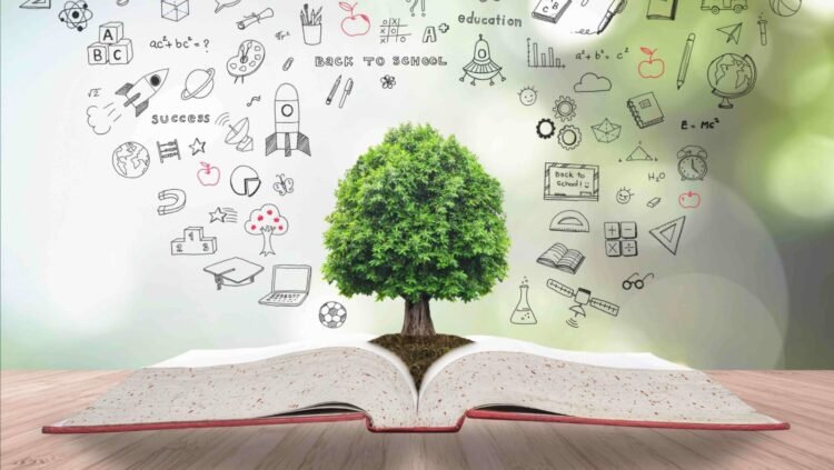 বিজয়নগরের শিক্ষার্থীদের দীর্ঘশ্বাস:কবে আসবে সরকারি কলেজের আলো?