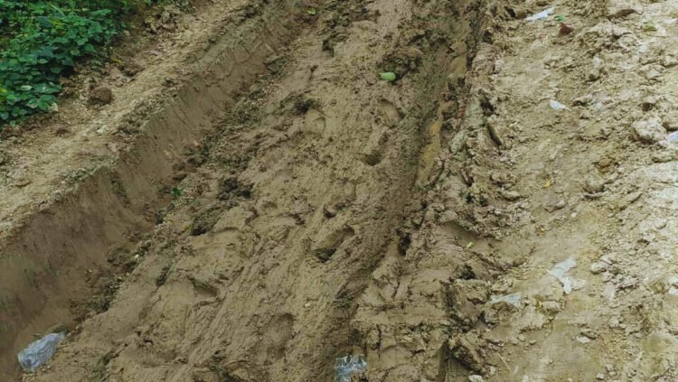 ৯ বছর ধরে খেসবা গ্রামের রাস্তা উপেক্ষিত—২০ হাজার মানুষের দুঃখ, শিক্ষার্থীদের ভবিষ্যৎ অন্ধকারে