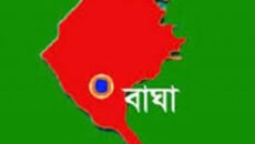 বাঘার জাহিদ করেনি জুলাই আন্দোলনে অংশগ্রহণ, হয়েছেন “জুলাই যোদ্ধা’ গেজেটভুক্ত