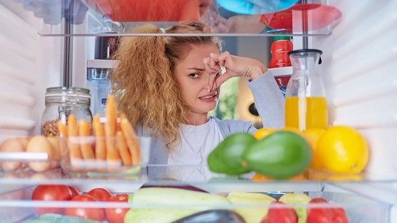 ফ্রিজের দুর্গন্ধ দূর করতে ব্যবহার করতে পারেন লবণ