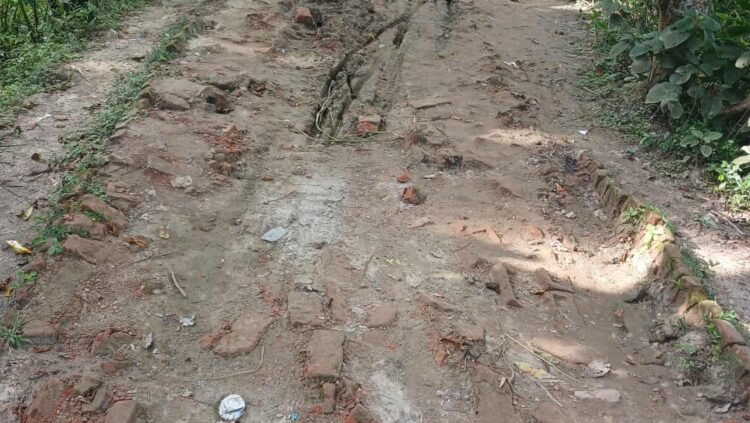 দুমকি উপজেলায়, চার বয়ড়ার  রাস্তা সংস্কার না হওয়ায় চরম দুর্ভোগে এলাকাবাসী সহ স্কুল শিক্ষার্থীরা