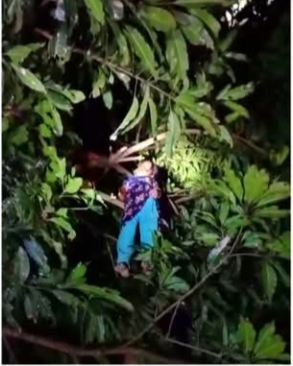 ধর্মপাশায় গাছের ডালে ওড়না পেছিয়ে কিশোরীর আত্মহত্যা।