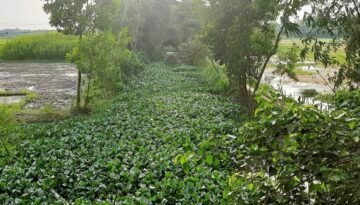 চান্দিনায় সরকারি বরাদ্দে হরিলুট, মিলল চাঞ্চল্যকর তথ্য