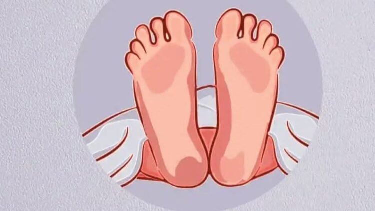 নোয়াখালী বেগমগঞ্জ মাইক্রো বাসের ধাক্কায় এক অটো রিক্সার যাত্রী মোঃ কাউচার নিহত