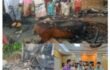 রায়গঞ্জে ভয়াবহ অগ্নিকাণ্ডে তিন গরু পুড়ে মৃত্যু, ক্ষতি প্রায় ৫ লাখ টাকা