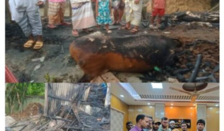 রায়গঞ্জে ভয়াবহ অগ্নিকাণ্ডে তিন গরু পুড়ে মৃত্যু, ক্ষতি প্রায় ৫ লাখ টাকা