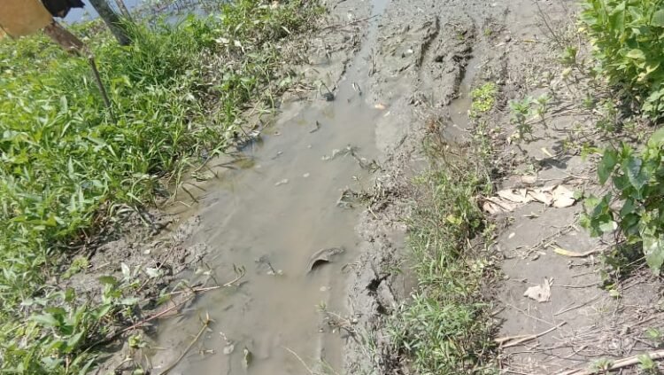 দাউদকান্দি উপজেলা ৯নং মোহাম্মদপুর ইউনিয়ন ৩নং ওয়ার্ডের জনগণ ইউনিয়ন সেবা থেকে বঞ্চিত পানি বন্দী হয়ে আছে ২ হাজার পরিবার কষ্ট ও দুর্দশার মধ্যে পড়ে আছে নেই কোন রাস্তা ও যোগাযোগ ব্যবস্থা
