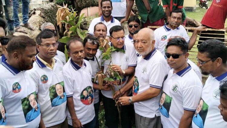 দৌলতপুরে যুবদলের উদ্যোগে বৃক্ষরোপণ কর্মসূচী পালন