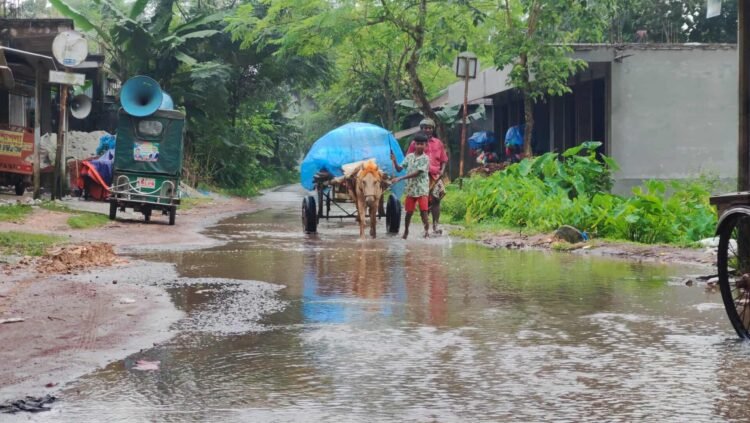 সখীপুরে কালভার্টের মুখ বন্ধে জলাবদ্ধতা, ভোগান্তিতে হাজারো মানুষ