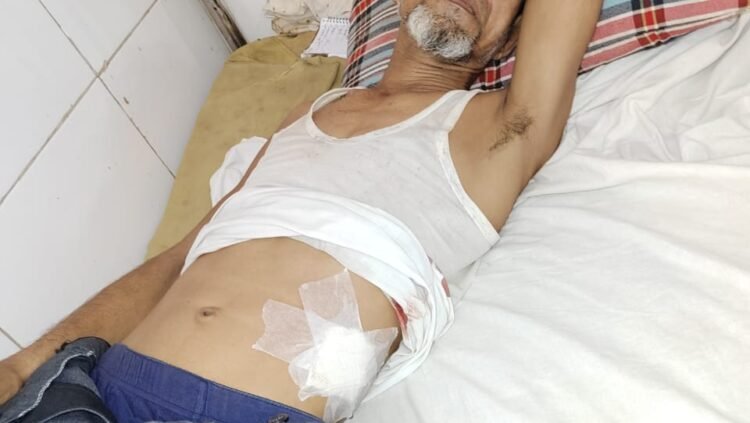 নওগাঁয় সুলপির আঘাতে আহত বিএনপি নেতা হাসপাতালে