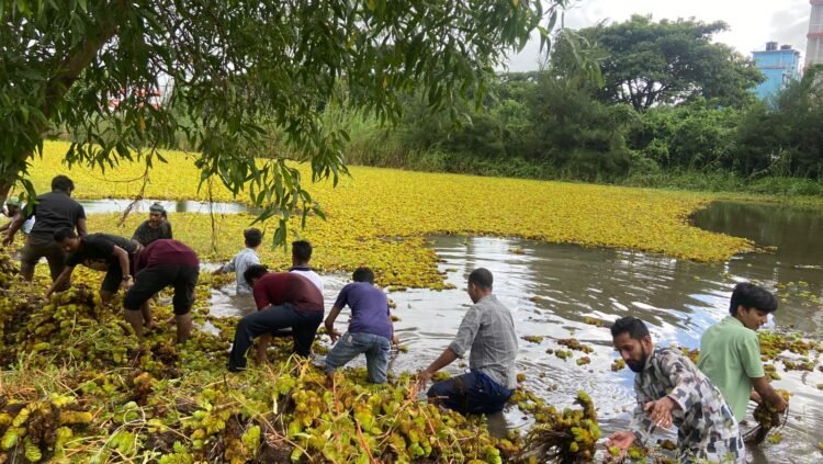 বরিশাল বিশ্ববিদ্যালয়ে ছাত্রদলের পরিষ্কার-পরিচ্ছন্নতা অভিযান