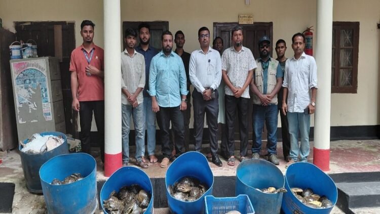 বেগমগঞ্জে ৪২৫টি কচ্ছপ উদ্ধার, ৩২৫টি জলাশয়ে অবমুক্ত