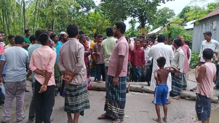 ভূরুঙ্গামারীতে সারের দাবিতে রাস্তা অবরোধ করে কৃষকের  বিক্ষোভ