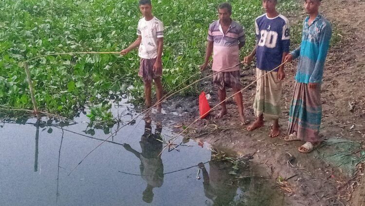 আত্রাইয়ে ভয়াবহ বন্যার পরে বিলের পানি কমাতে ছিপ বড়শি দিয়ে মাছ ধরার ধুম