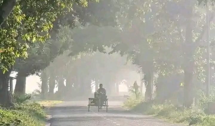 ঝিনাইগাতিতে শীতের আগমনী বার্তা