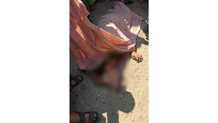 ঢাকা–ময়মনসিংহ মহাসড়কে একদিনে দুই দুর্ঘটনা: ত্রিশালে চালক-সহকারী ও ভালুকায় পথচারীর সহ তিনজনের মৃত্যু