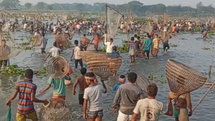 নান্দাইলের ঐতিহ্যবাহী বলদা বিলে হাইতি উৎসবঃ হাজারো মানুষের মিলনমেলা