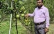 আইন পেশার পাশাপাশি কৃষিতে সাফল্যের অনন্য দৃষ্টান্ত