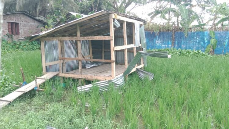 শরনখোলায় ব্রাক অফিস সংলগ্নফরিদ মাতুব্বরের ঘর লুট হামলা ও ভাঙচুর