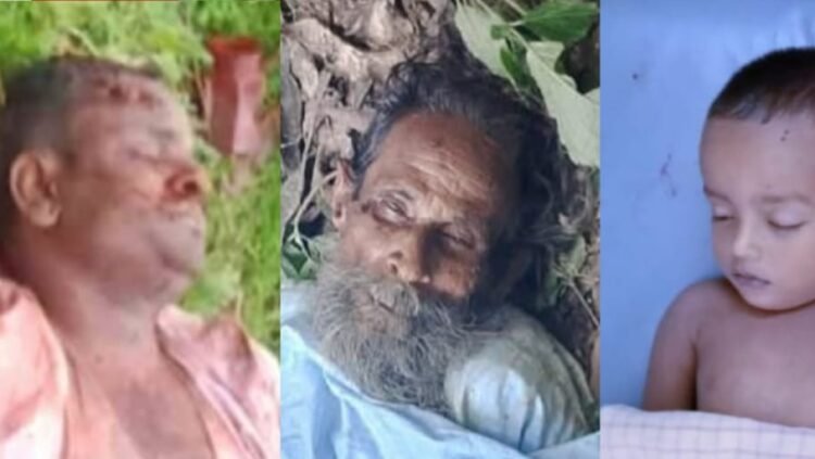 নওগাঁয় এক বৃদ্ধসহ তিন মরদেহ উদ্ধার