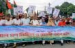 কালাইয়ে তারেক রহমানের ৩১ দফা প্রচারে  বিএনপির গণ মিছিল র‍্যালী