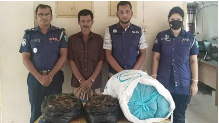 মাদক ব্যবসায়ী  আটক