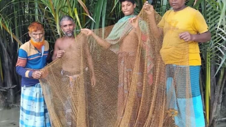 সুন্দরবনের অভয়ারণ্য দখলকারী কুখ্যাত লিটন মাতুব্বর সহ ৪ জেলে আটক