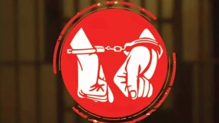 কুমিল্লা সদর উপজেলা অস্ত্রসহ ২ যুবককে গ্রেফতার করেছে — র‍্যাব ১১