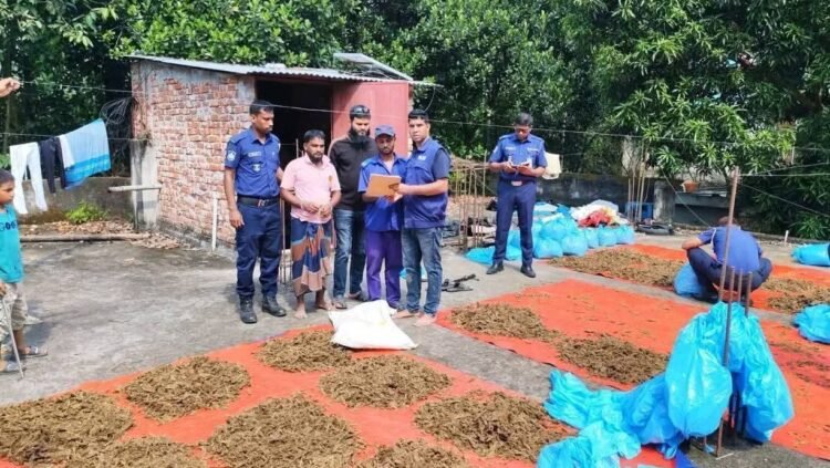 কুমিল্লা ব্রাহ্মণপাড়া বাড়ির ছাদে রোদে শুকানো অবস্থায় ১০০ কেজি গাঁজা উদ্ধার ও ইউপি সদস্য গ্রেপ্তার