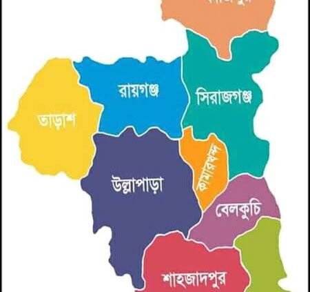 রায়গঞ্জে দাদীকে হত্যা করলো নাতি