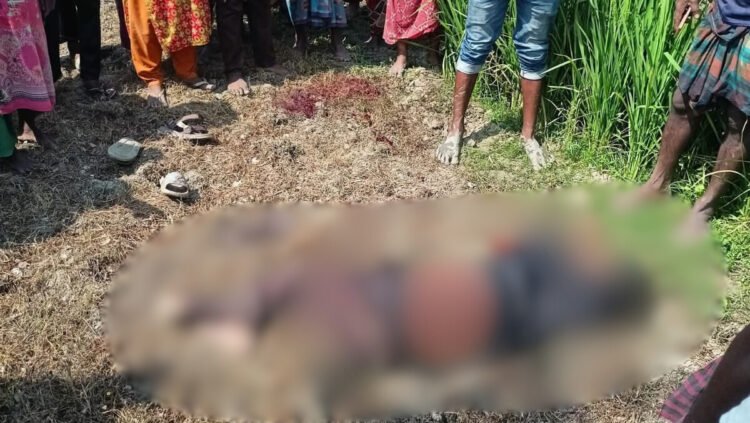 দৌলতপুরে জমিজমা সংক্রান্ত বিরোধে সৎ ভাইকে কুপিয়ে হত্যা