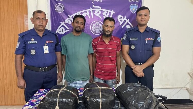 ছাগলনাইয়ার দক্ষিণ মন্দিয়ায় ১৪ কেজি গাঁজাসহ তিন যুবক গ্রেফতার