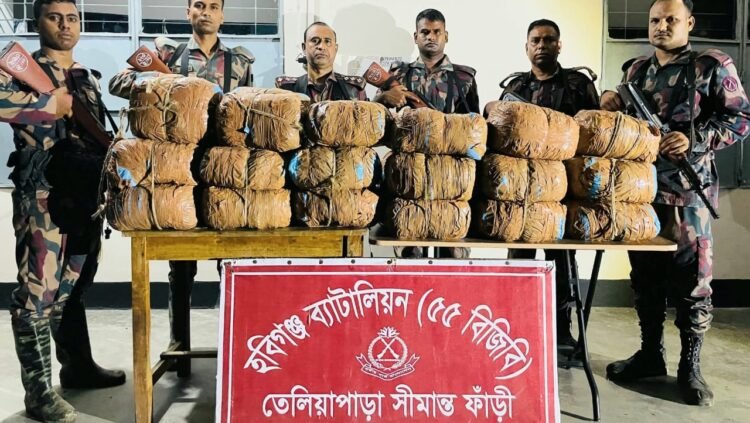 মালিকবিহীন  ভারতীয়  মদ ও গাজা  আটক