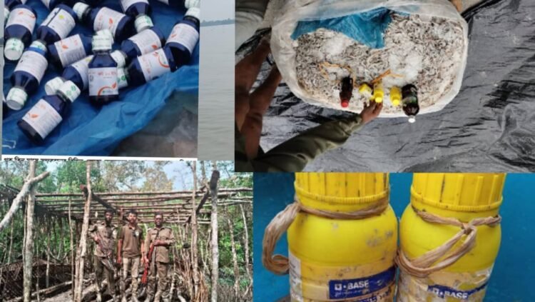 সুন্দরবনে থামছে না অবৈধ মাছ শিকার