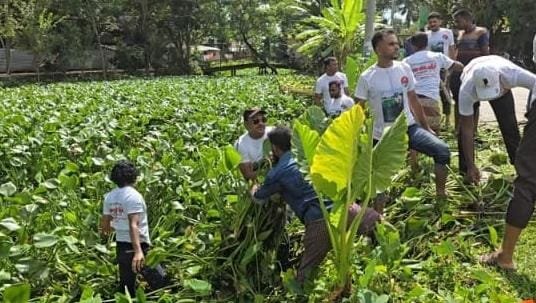 দুমকি উপজেলায়,  যুবদলের উদ্যোগে পীরতলা বাজার ভারানী  খালের কচুরিপানা  পরিষ্কার